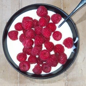 zelf maken Milde Yoghurt