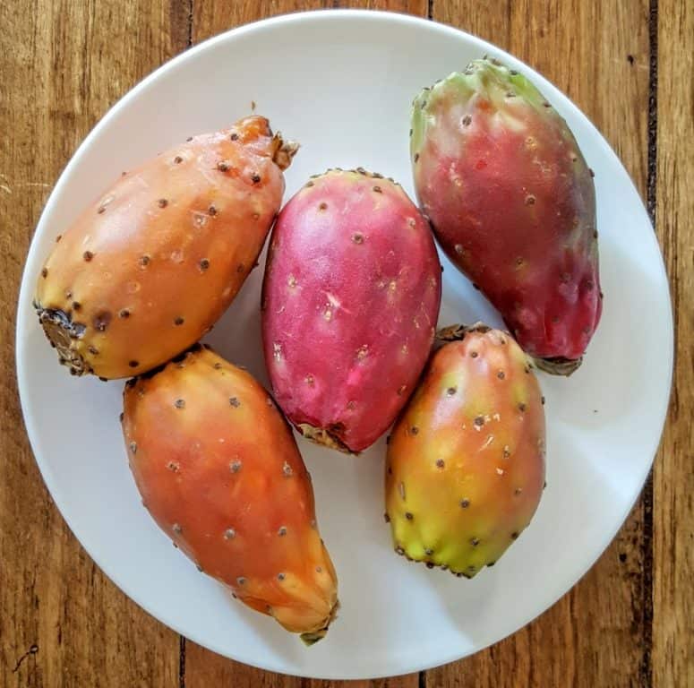Bedelen Overweldigen Goed gevoel In the spotlight: cactusvijgen | Out mijn keuken